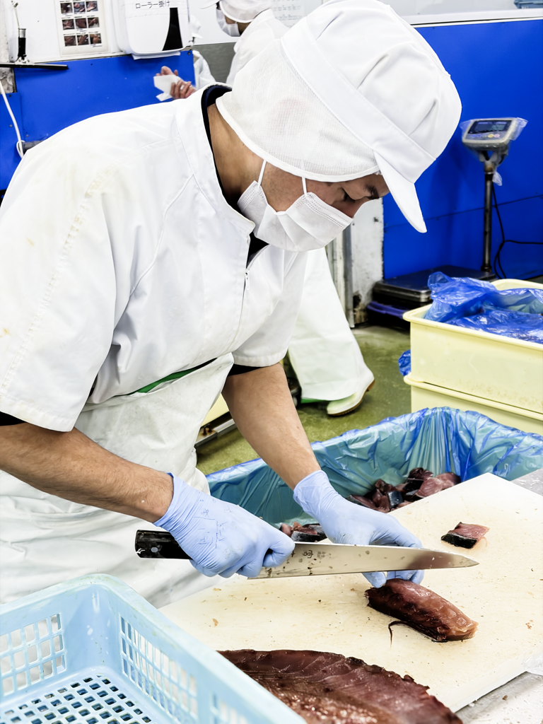 ブリの加工作業風景